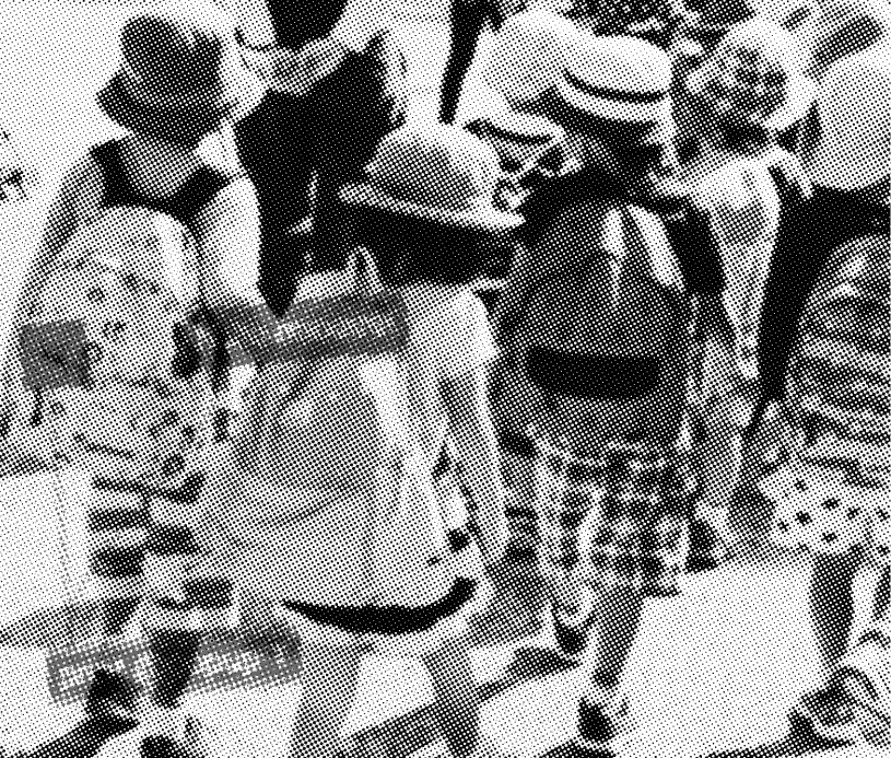 Learn Max at Your Own Pace